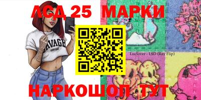 гашик Белореченск