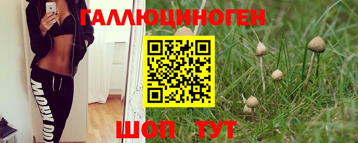 Орск  Галлюциногенные грибы GOLDEN TEACHER  Вход с VPN 